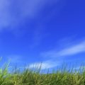 【融資情報】さわやか信用金庫
