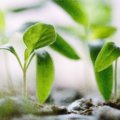 お金は最強で、最も価値がないもの